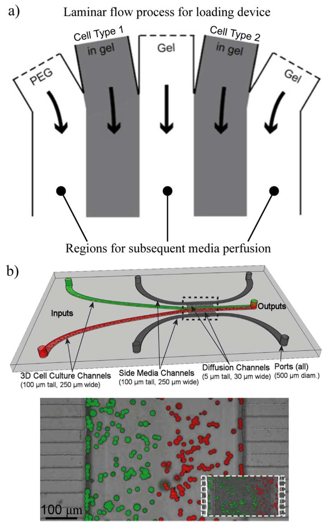 Fig. 13