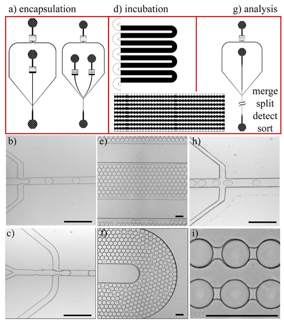 Fig. 19