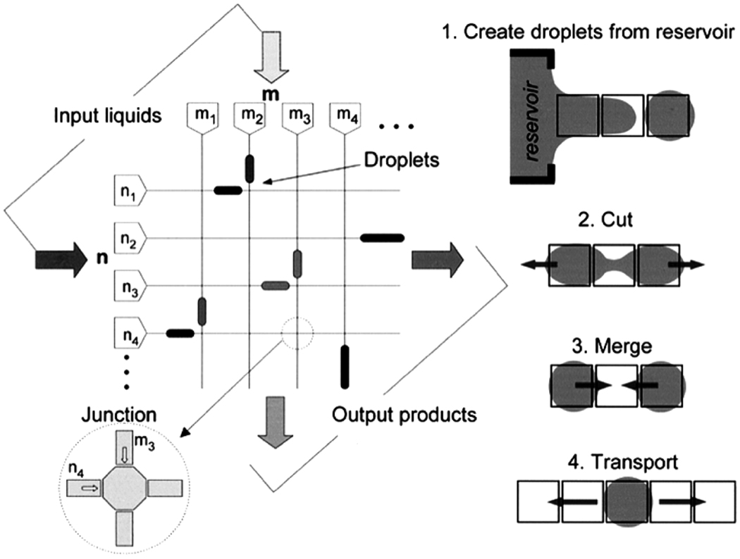 Fig. 21