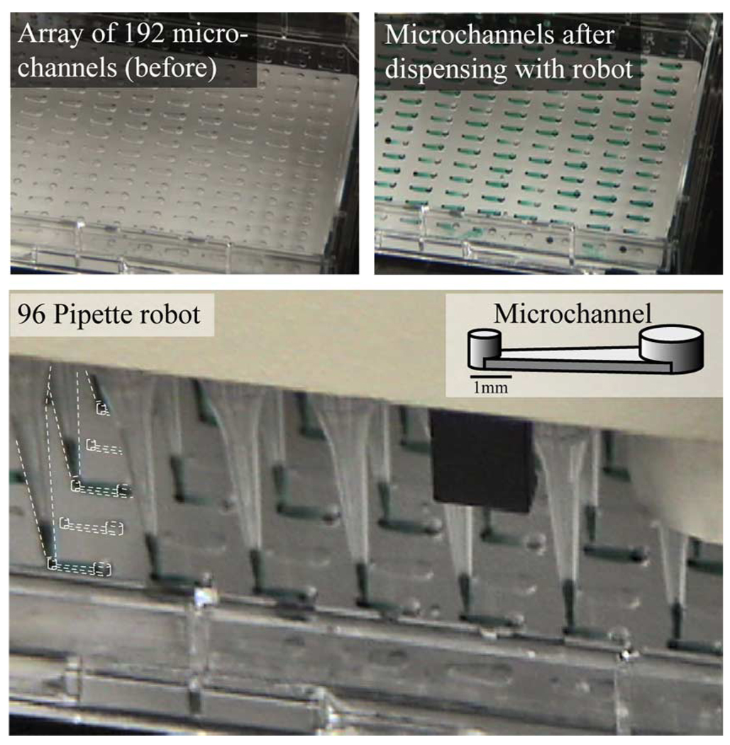 Fig. 22