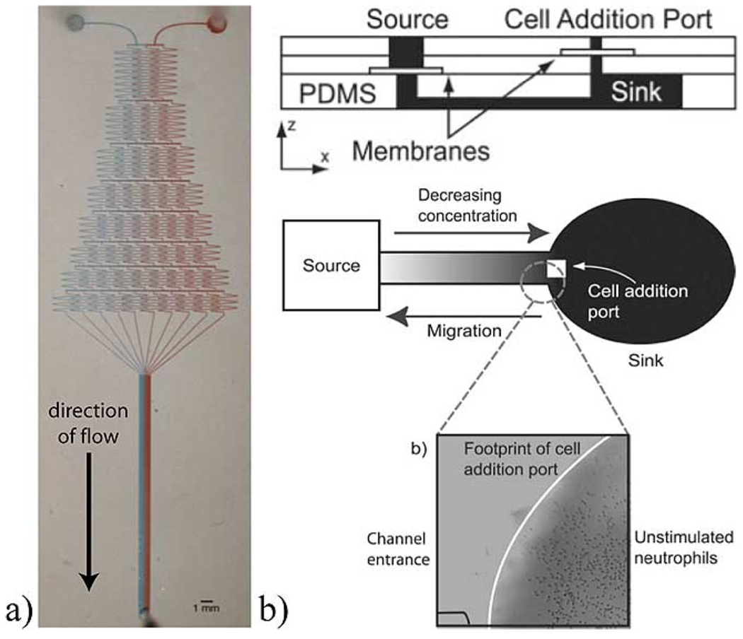 Fig. 12