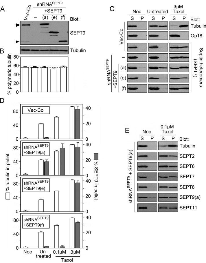 FIGURE 7: