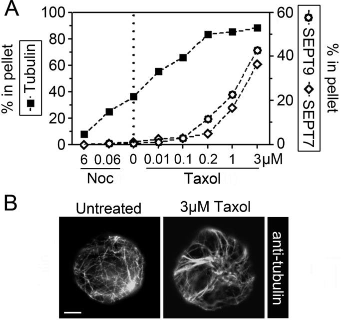 FIGURE 6: