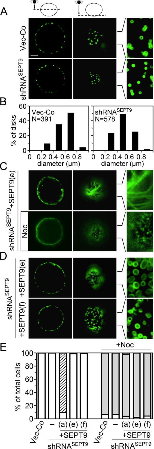 FIGURE 9: