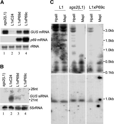 Figure 3.