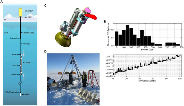 FIGURE 1 ∣