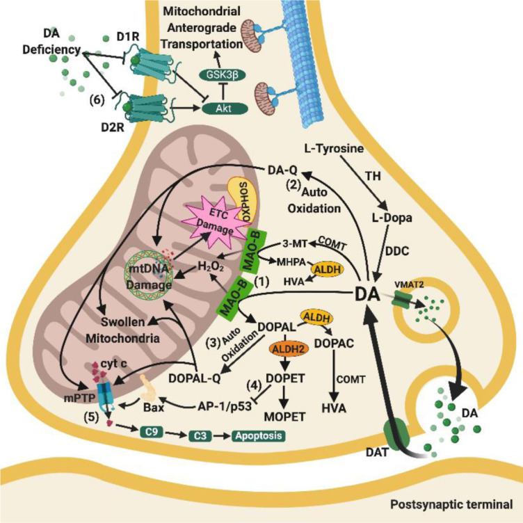 Figure 3.