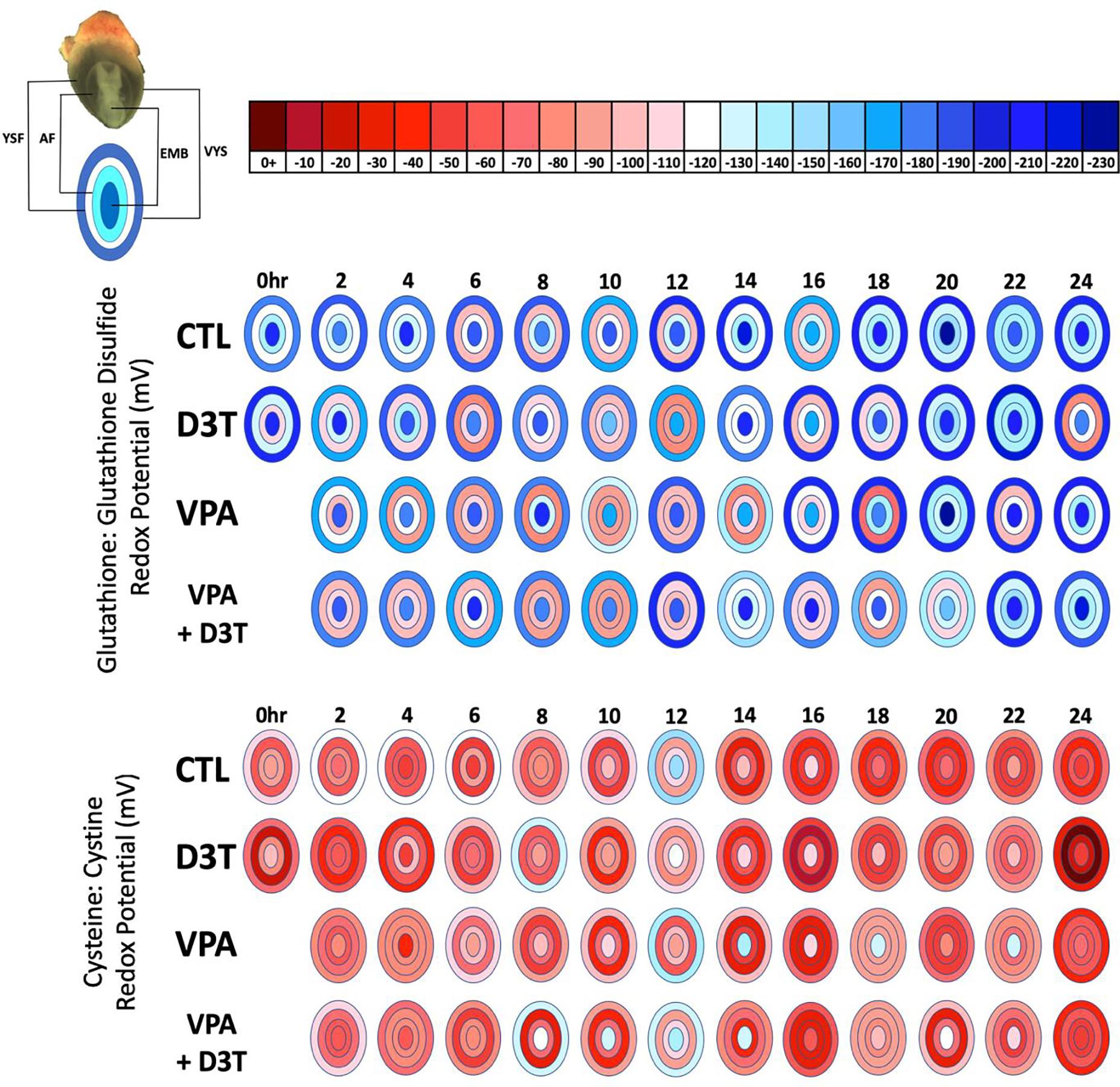 Figure 4: