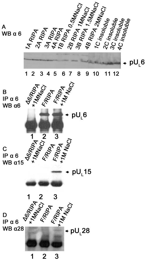 FIG. 9.