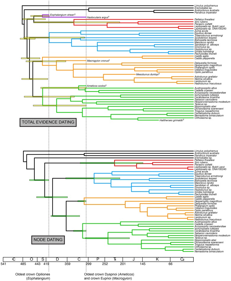 FIGURE 3