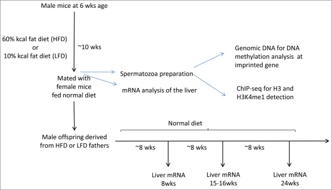 Figure 1.