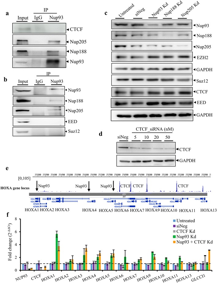 Fig. 7