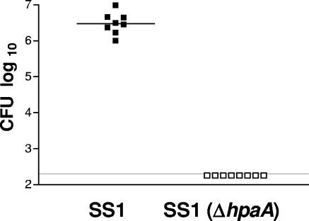 FIG. 5.