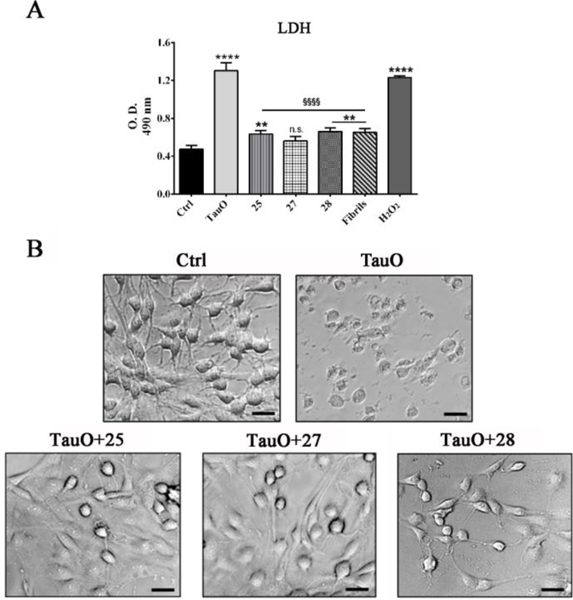 Fig. 3.