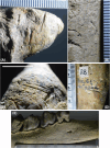 Fig. 2