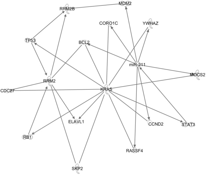 Figure 7.