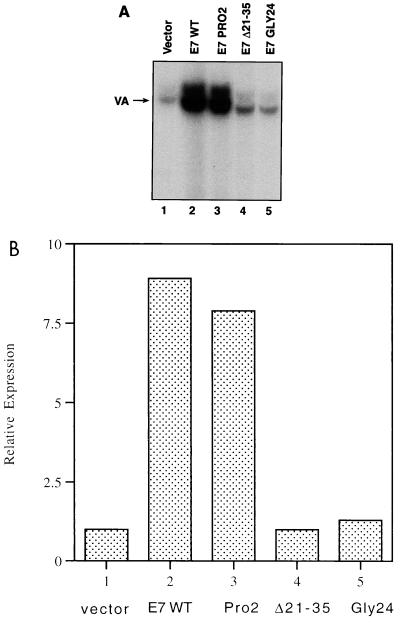 FIG. 7