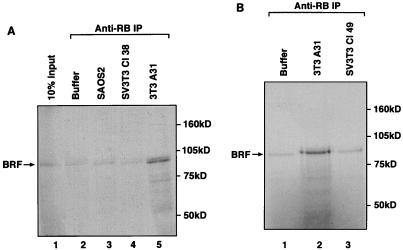 FIG. 5