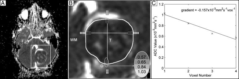 Fig. 1.