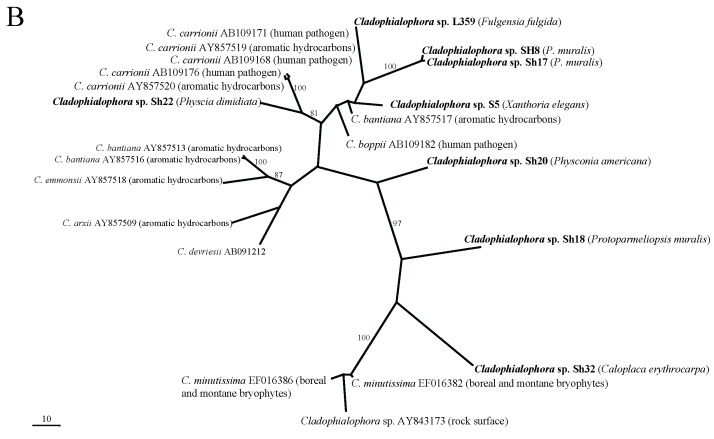 Fig 1.