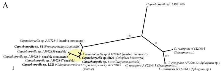 Fig 1.