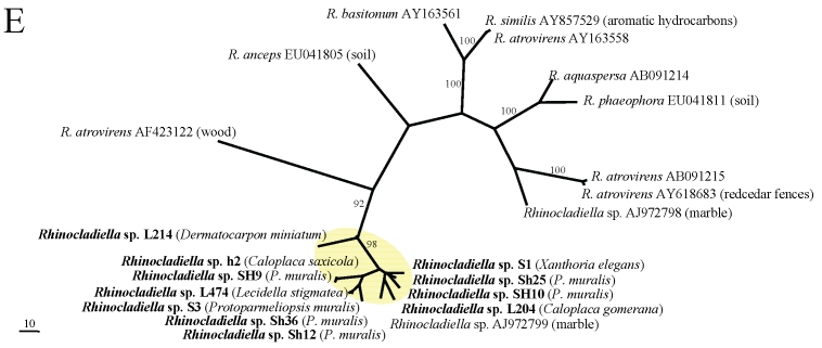 Fig 1.