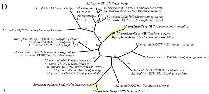 Fig 1.