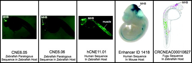 FIG. 7.