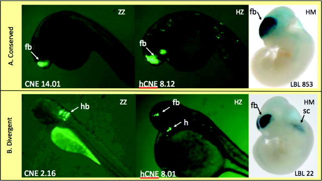 FIG. 4.