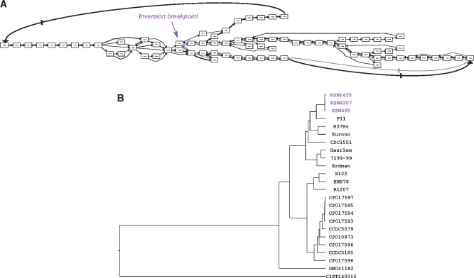 Fig. 4.