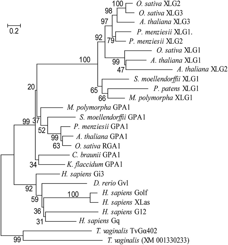 Figure 5.