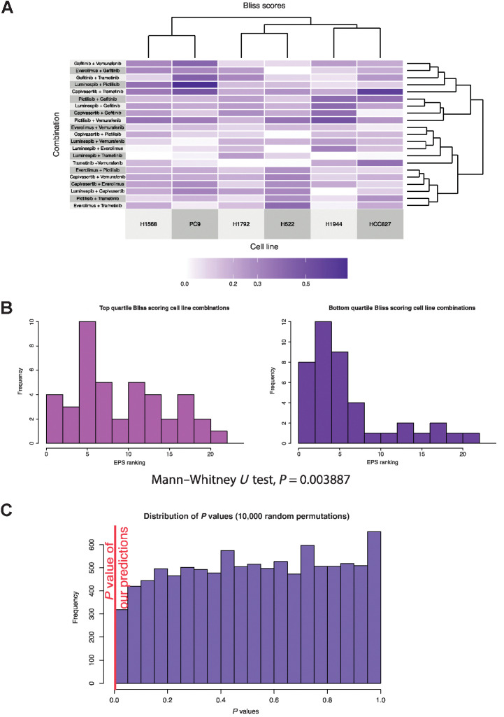 Figure 5. Experimental and predicted combinations. A, Clustered heatmap of Bliss synergy scores was experimentally measured for six cell lines treated with 21 two drug combinations. B, Histogram representing the EPS rankings of nodes of targets of drugs in the top 25% highest Bliss synergy scores, that is, “most synergistic” (left), or the EPS rankings of nodes of targets of drugs in the 25% lowest Bliss synergy scores, that is, “least synergistic,” (right). There is a significant bias toward higher EPS rankings for the most synergistic drug targets, with a significant Mann–Whitney U test P value of 0.0038875, indicating a biased distribution of rankings. C, Simulation of the Mann–Whitney U test P values obtained from 10,000-fold random permutations of EPS ranking, demonstrating the robustness of this P value.