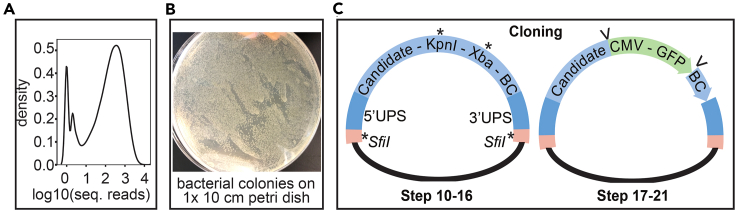 Figure 2