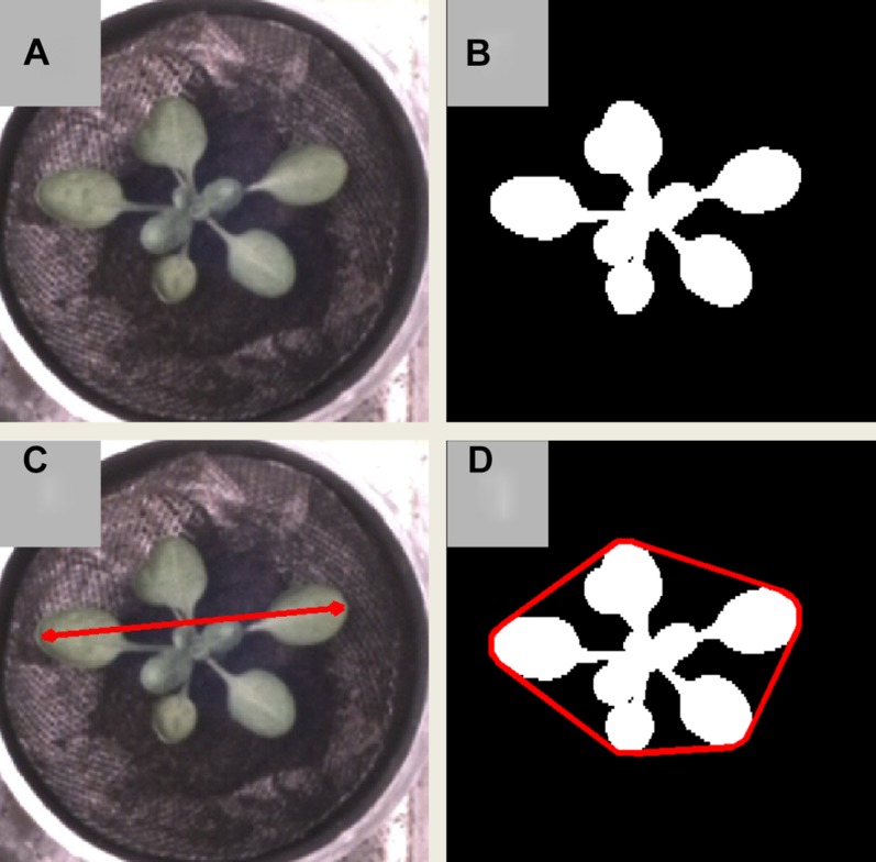 Figure 2.