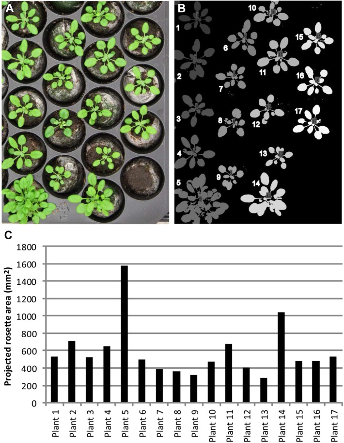 Figure 3.