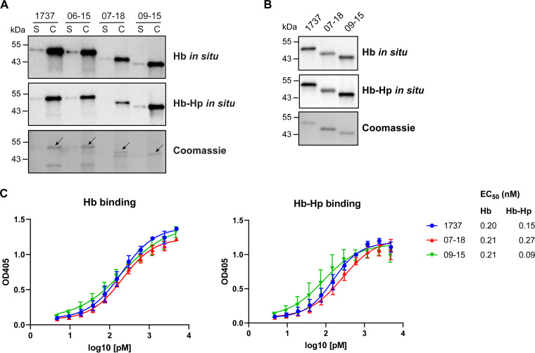 FIG 3