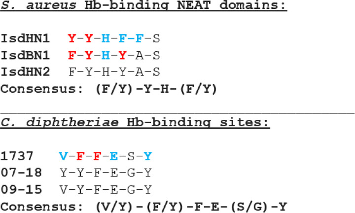 FIG 12