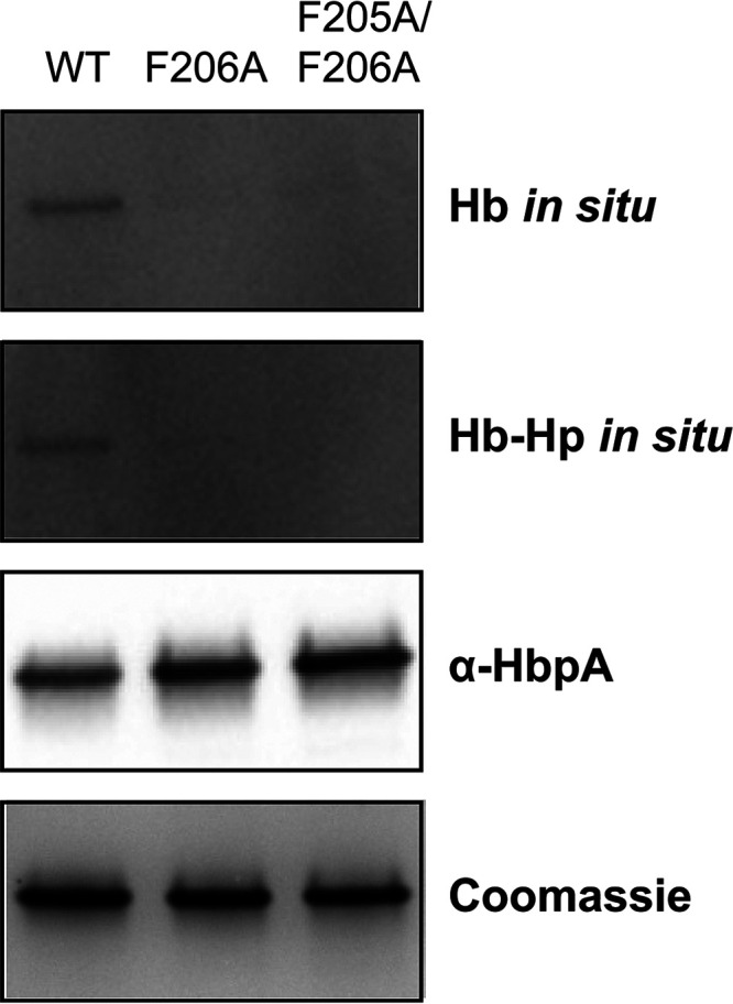 FIG 11