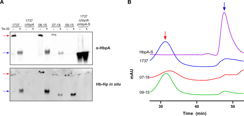 FIG 6