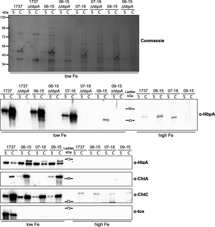 FIG 2