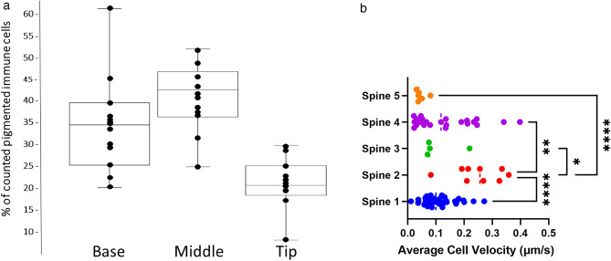 Fig. 13