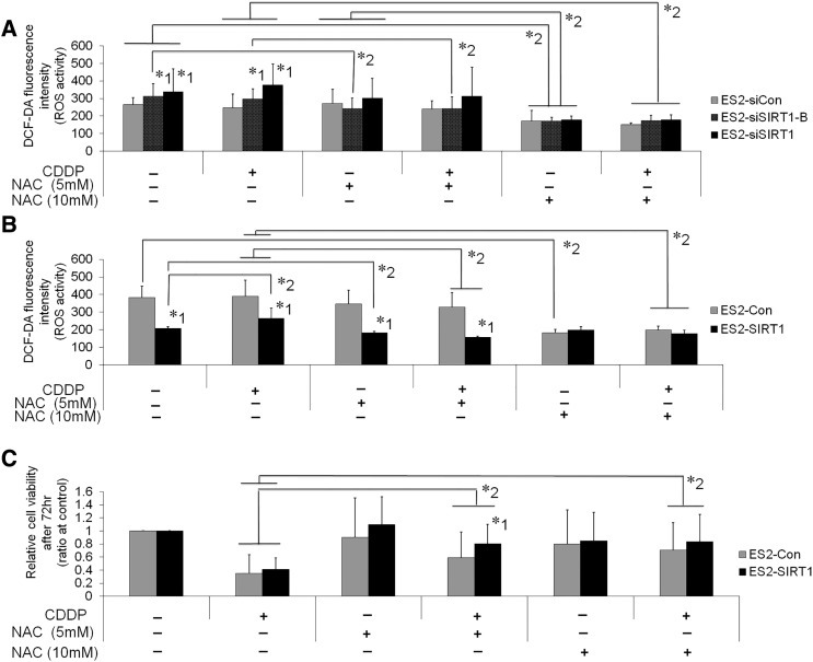 Supplementary Figure S5