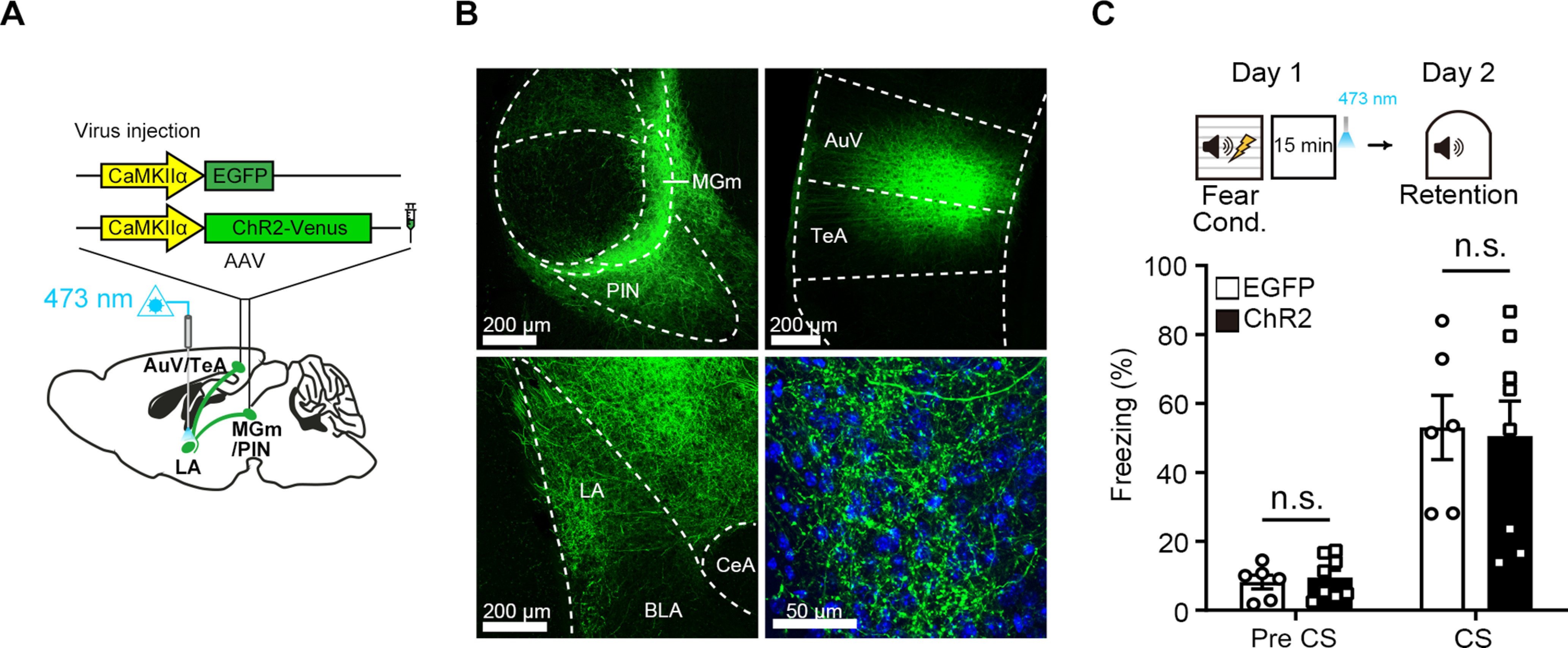 Figure 2.