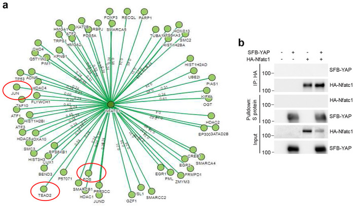 Extended Data Figure 5.