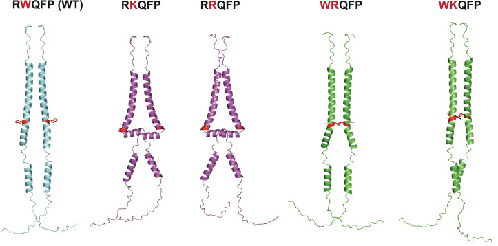 Figure 3—figure supplement 3.