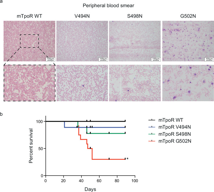 Figure 2—figure supplement 1.