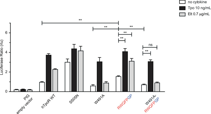 Figure 4—figure supplement 1.