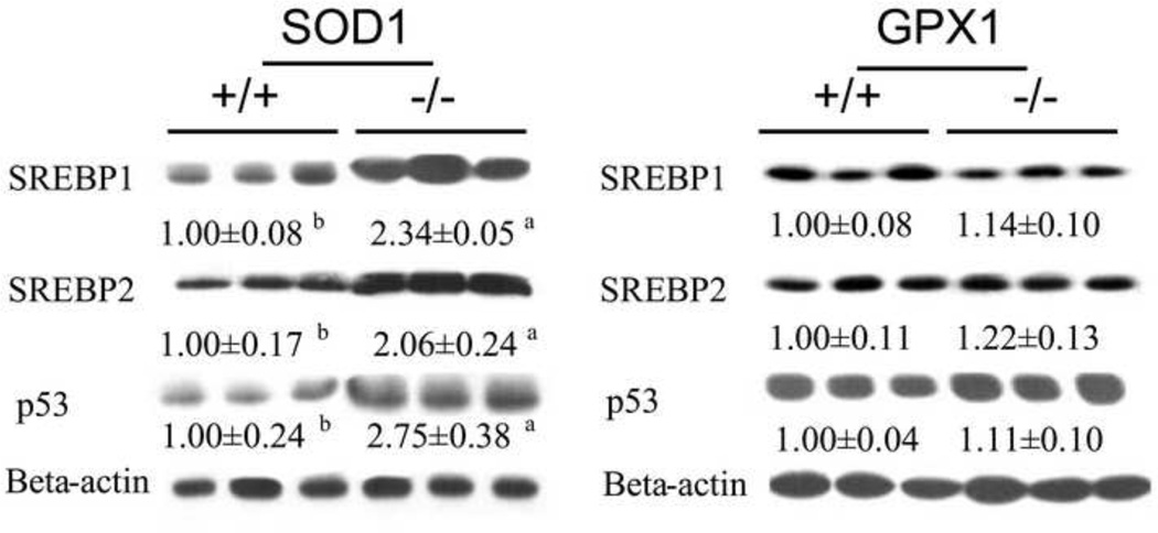 Fig.4