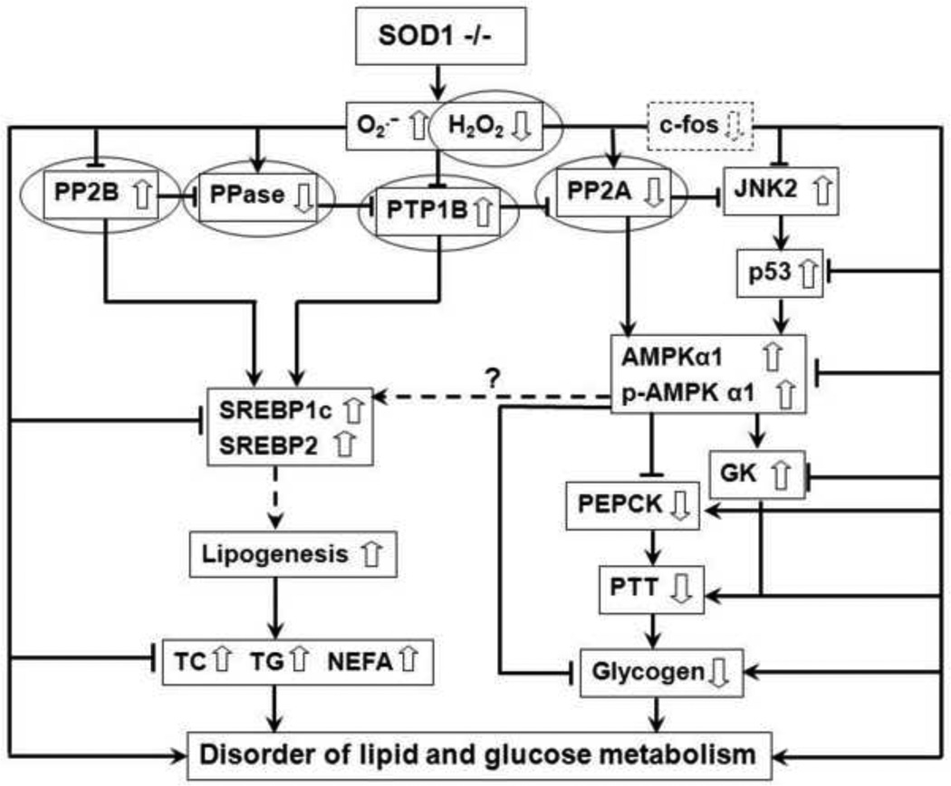 Fig.7