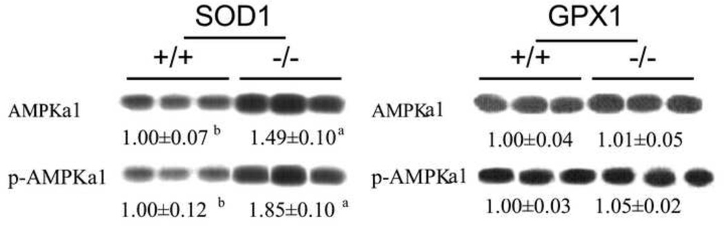 Fig.5